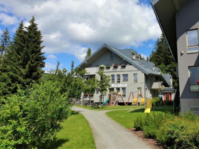 Apartment Harrachov Resident Vesna by Interhome, Harrachov